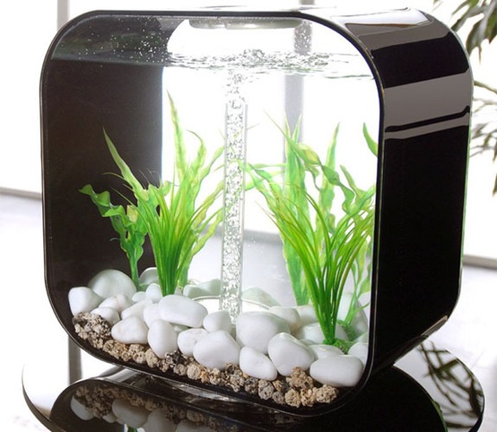 Beautiful Aquariums in Home Interiors - Aquarium - Decoration - Ideas - For Pet