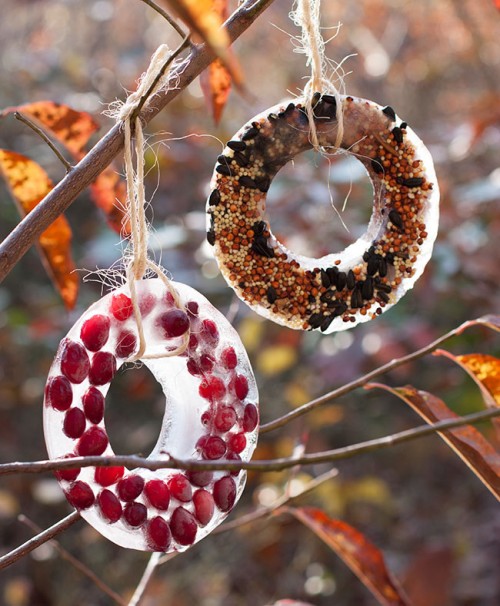 Tự làm đồ trang trí noel từ thức ăn cho chim - Đồ trang trí - Lễ Giáng Sinh - Trang trí - Ý tưởng