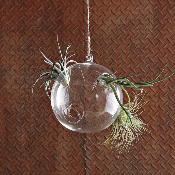 Creative Hanging Garden Ideas by Shane Powers for West Elm - Garden - Outdoor - Ideas - Interior Design
