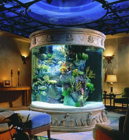 แบบ Aquarium ในห้องรับแขก - ตกแต่งบ้าน - ห้องนั่งเล่น - ไอเดีย - สี - ของแต่งบ้าน - ห้องทานอาหาร - ตกแต่ง - แต่งบ้าน - ตู้ปลา - ตู้ปลาสวยงาม - แบบห้องนั่งเล่น - แบบห้องนั่งเล่นสวย - ตกแต่งห้อง - แต่งห้อง - ไอเดียเก๋ - ไอเดียแต่งห้อง - เทรนด์การออกแบบ - ดีไซน์ - บ้านสไตล์โมเดิร์น - การตกแต่ง - ไม่ซ้ำใคร - ดีไซน์เก๋ - สุดเจ๋ง - ในบ้าน - น่ารักๆ - สดใส - ธรรมชาติ - สุดหรู - ไอเดียเก๋ๆ - สดชื่น - สุดเก๋ - อินเทรนด์ - ชิลๆ - เก๋ๆ