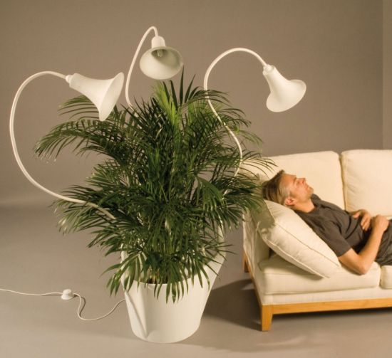 Spotlights for my plants Decor Report