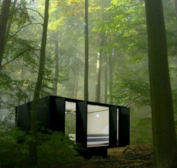 Gần gũi thiên nhiên với nhà ở trong rừng - Nhà trong rừng - Ngôi nhà mơ ước - Hình ảnh