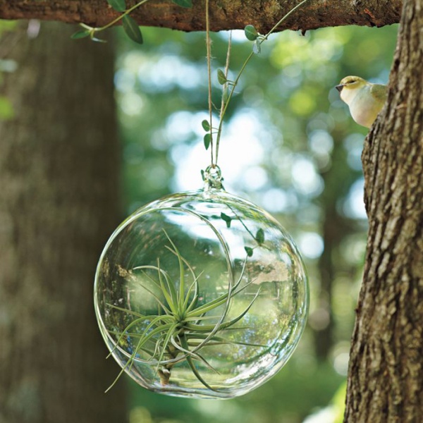 Creative Hanging Garden Ideas by Shane Powers for West Elm - Garden - Outdoor - Ideas - Interior Design