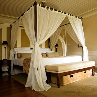 Master Bedroom - Bedroom