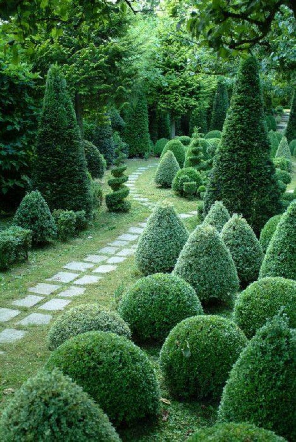 เจ๋ง!! แต่งสวนด้วยเฟิร์น - ตกแต่งบ้าน - ไอเดีย - ของแต่งบ้าน - ตกแต่ง - จัดสวน - สวนสวย - บ้านสวย - ไอเดียเก๋