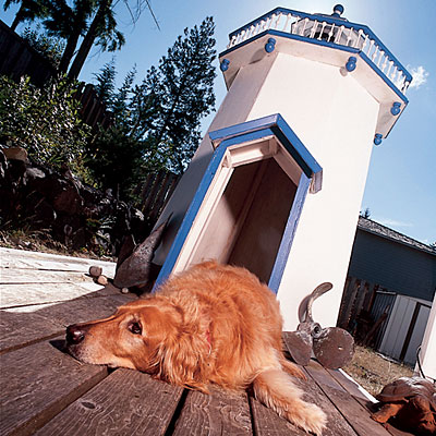 Stylish House For Your Dogs - Dog Houses - Design